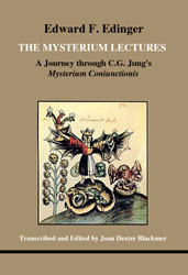 Cover The Mysterium Lectures