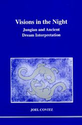 Cover Visions in the Night